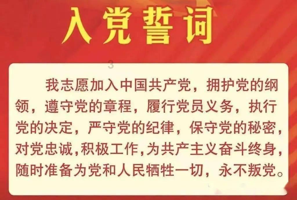 亲爱的金主大人